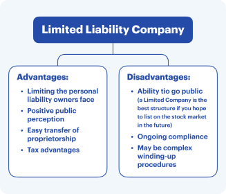 Advantages and disadvantages of an LLC