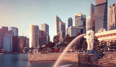 What are the Different Types of Companies in Singapore?