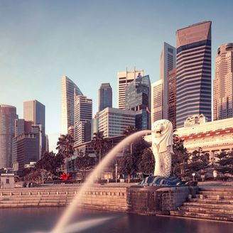 What are the Different Types of Companies in Singapore?