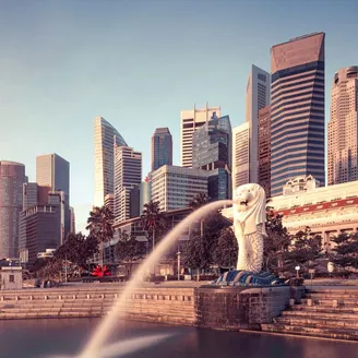 What are the Different Types of Companies in Singapore?
