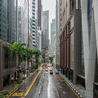 Understanding an Investment Holding Company in Singapore