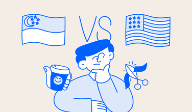 Singapore vs Delaware for Indian Founders