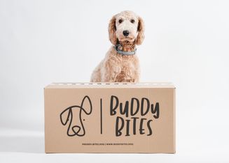 Buddy Bites box