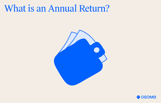 What is an annual return?