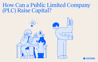 How public limited companies raise capital?