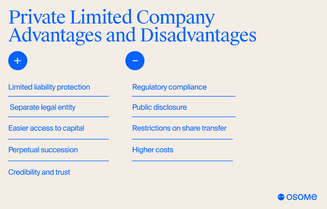 Private limited company pros and cons