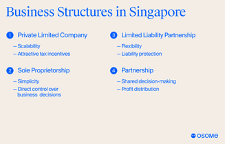 Business structures in Singapore for Indians