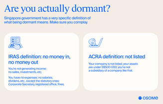 What is a dormant company?
