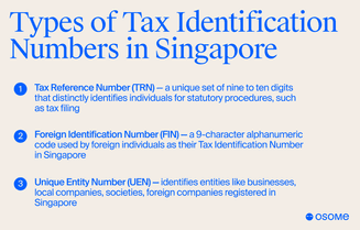 Types of tax identification numbers in Singapore