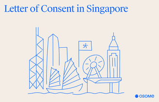 What is a Letter of Consent in Singapore