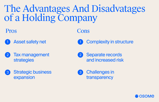 Holding company advantages