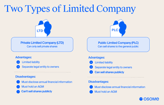 Pros and cons of private limited companies in the UK