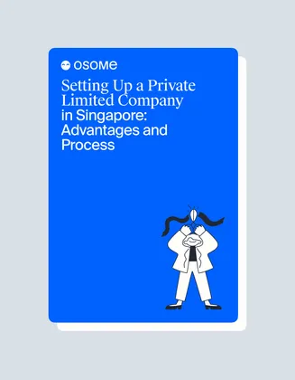 Everything You Should Know About Setting Up a Private Limited Company in Singapore
