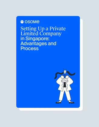 Setting Up a Private Limited Company in Singapore