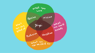 sg-blog-content-ikigai-osome.png