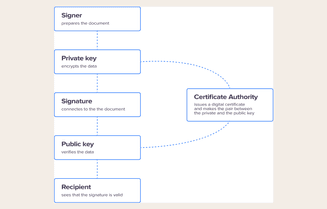 sg-blog-content-vert-scheme.png